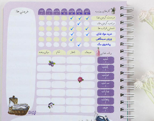 کار روزمره پلنر خانگی